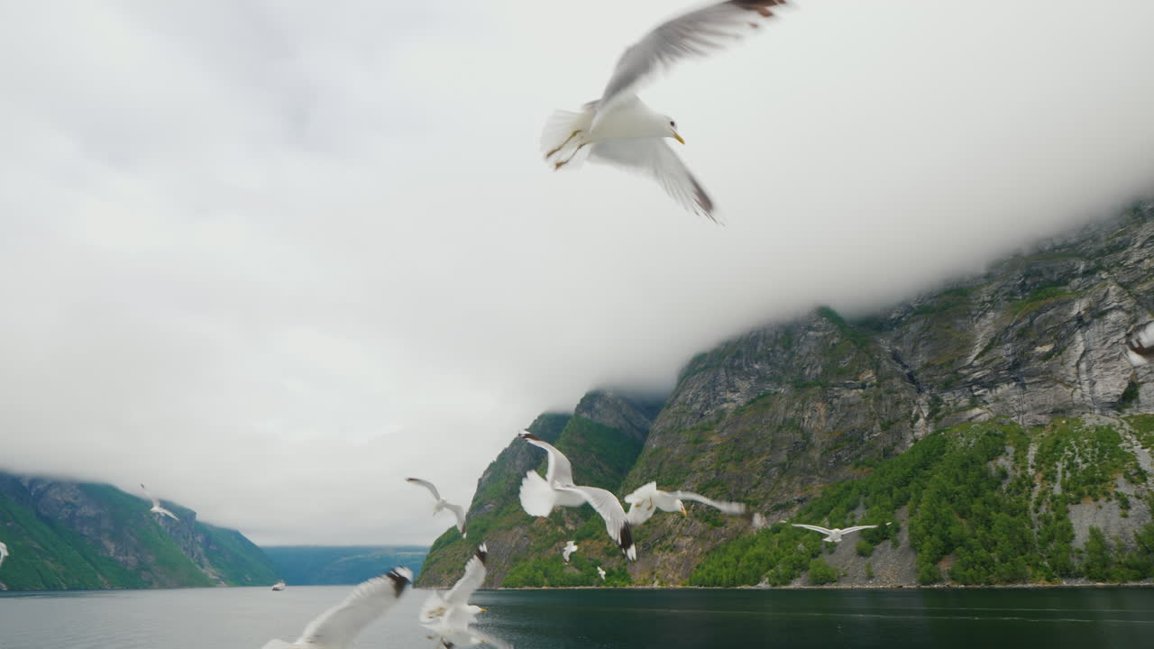 배에서 노르웨이의 그림 같은 피요르드를 따라 크루즈