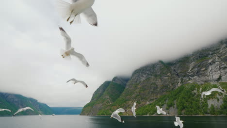 cruise along the picturesque fjord in norway view from the ship