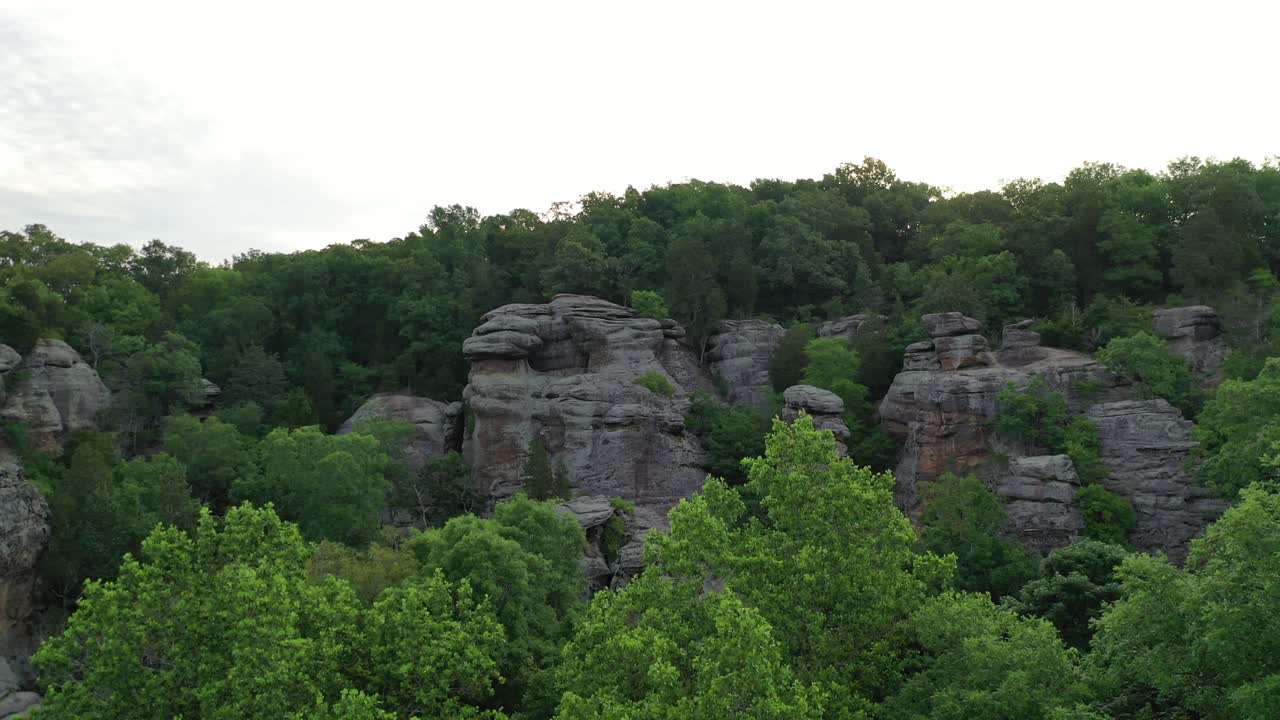 acantilado rocoso cubierto de denso bosque verde en temporada de verano, vista aérea