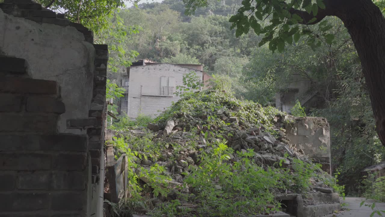 huangjue 나무 아래의 폐허