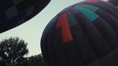hot air balloons in the sky