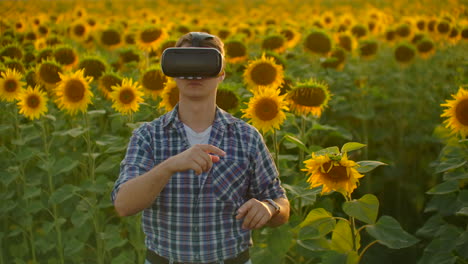 El-Joven-Está-Trabajando-Con-Gafas-Vr.-él-Está-Involucrado-En-El-Proceso-De-Trabajo.-Es-Un-Hermoso-Día-Soleado-En-El-Campo-De-Girasoles.