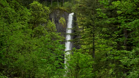 latourell falls in the columbia river gorge, oregon