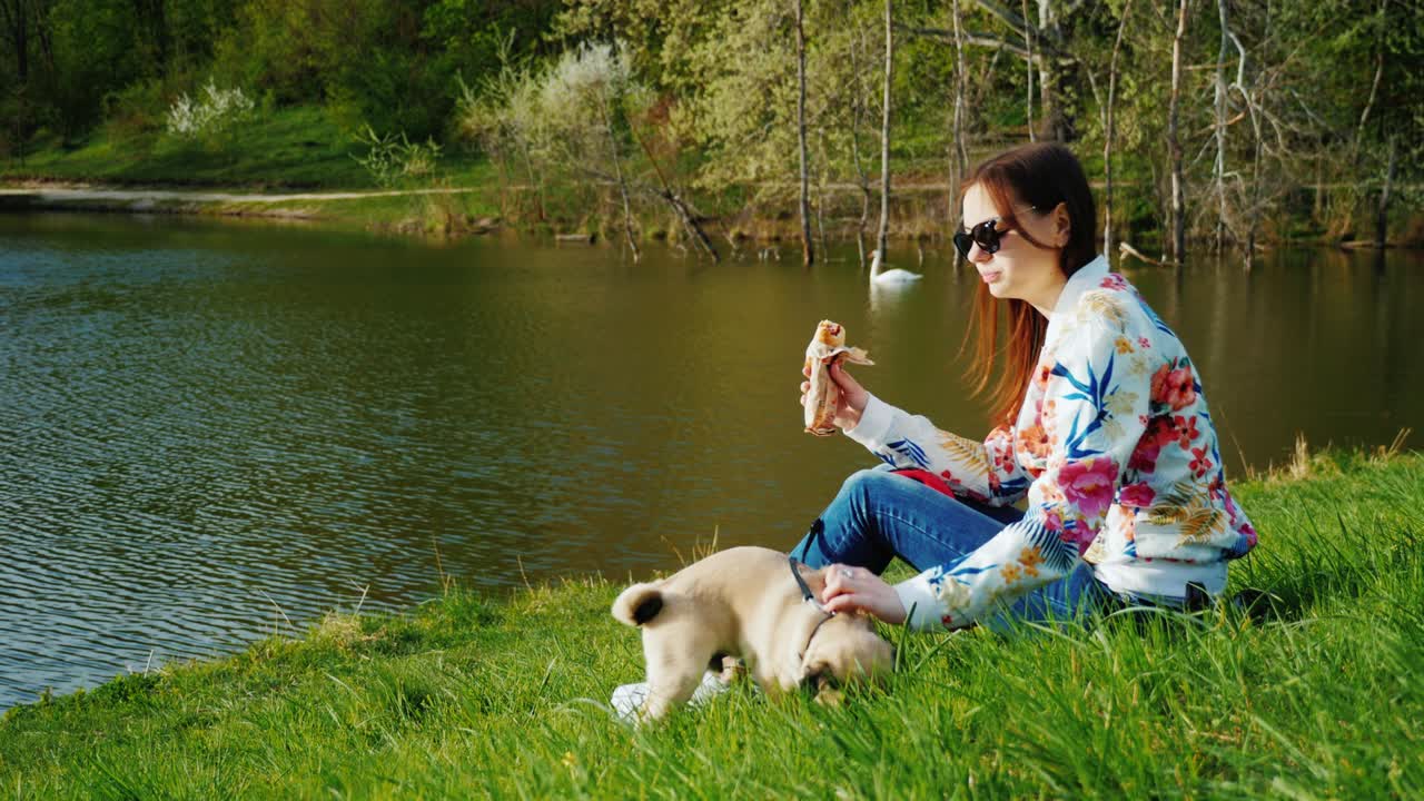 호수와 함께 그림 같은 공원에서 쉬운 간식: 한 여인이 잔디에 앉아, 핫도그가 먹고, 에는 그 품종의 강아지입니다.
