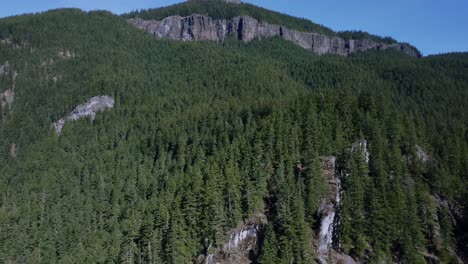 flying by cliffs in lush forest