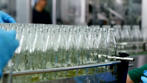 production of drinking water and beverages at factory. bottling of herbal drink in glass bottles.