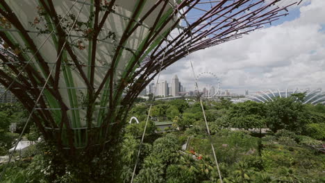 pan from super trees in singapore revealing sky, flower dome and cityscape