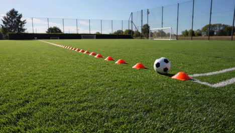 soccer training field with cones