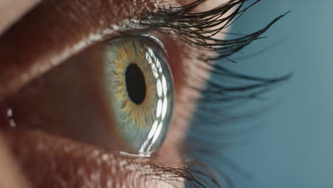 close up macro blue eyes blinking looking curious light reflecting on iris