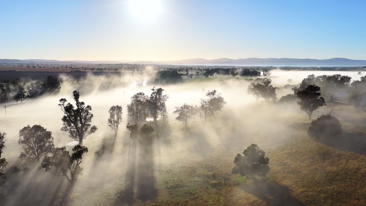 Drone glides above misty Australian landscape at sunrise, sunlight streaming through eucalyptus trees, casting dramatic shadows across rolling hills and fog