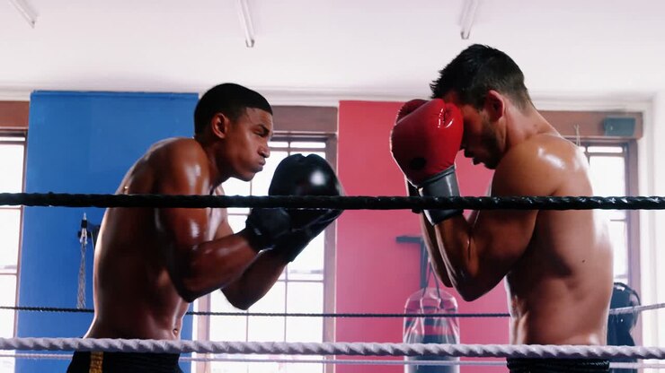 Due pugili che combattono sul ring