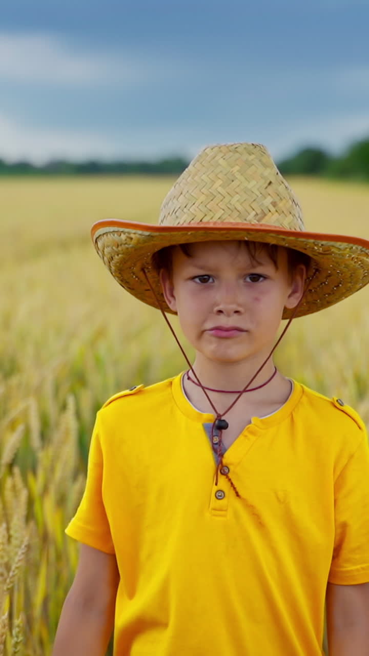 Portrait of a little farmer on field. Healthy boy in straw hat and yellow t-shirt looking on camera and smiling on the wheat field background. Vertical video