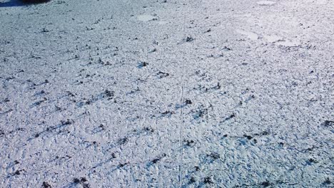 aerial birdseye view of snowy bog landscape with hiking trail and frozen lakes in sunny winter day, dunika peat bog , high altitude wide angle drone shot moving backwards