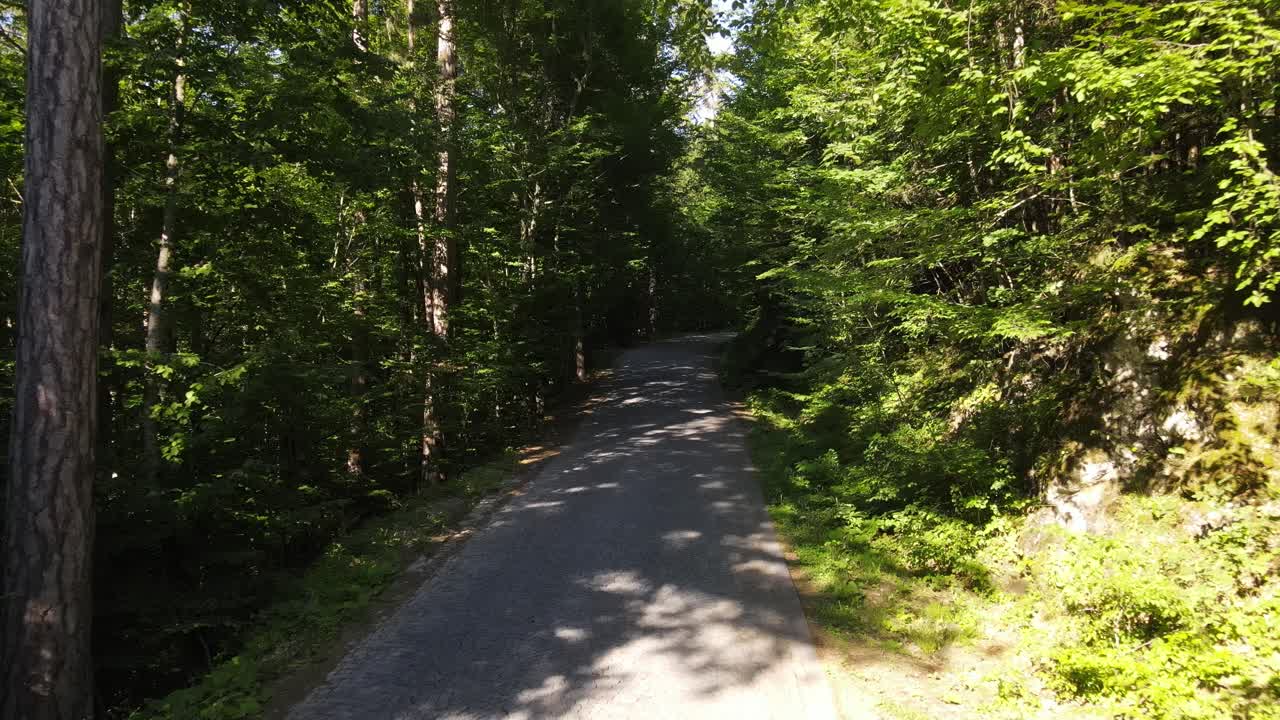 여행 숲길 조감도 3