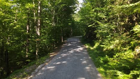 Traveling-Forest-Road-Aerial-View-3