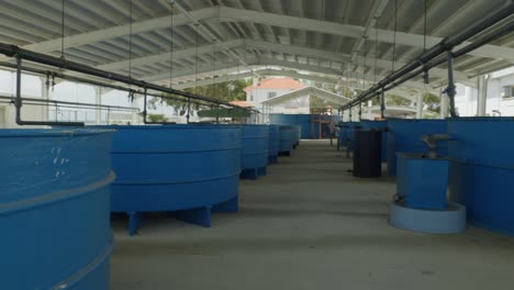 view of large blue agricultural production ponds inside an industrial fish farm