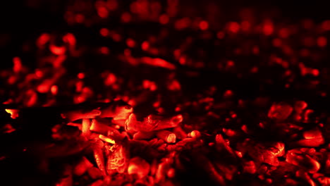 hot red embers left from the campfire. light smoke raises up from the charcoal. close up.