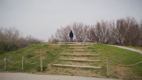 Man-on-a-hill-looking-at-the-forest-with-existential-tone