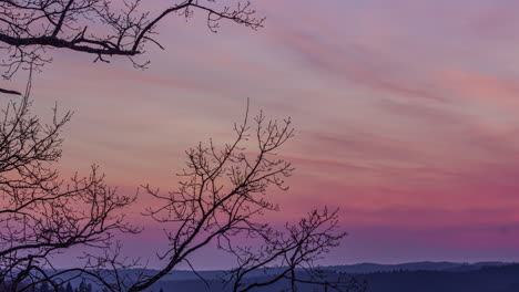 Tiro-De-Lapso-De-Tiempo-De-árboles-Sin-Hojas-Frente-Al-Cielo-De-Puesta-De-Sol-De-Color-Rojo-En-El-área-Rural