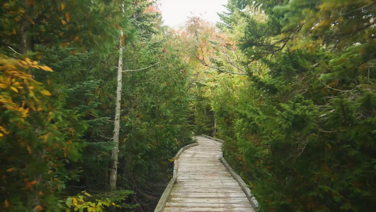 Shot in Beautiful Northern Maine in stunning 4K