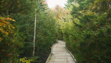 shot in beautiful northern maine in stunning 4k