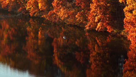 Person-in-kayak-on-calm-lake-in-autumn-golden-hour