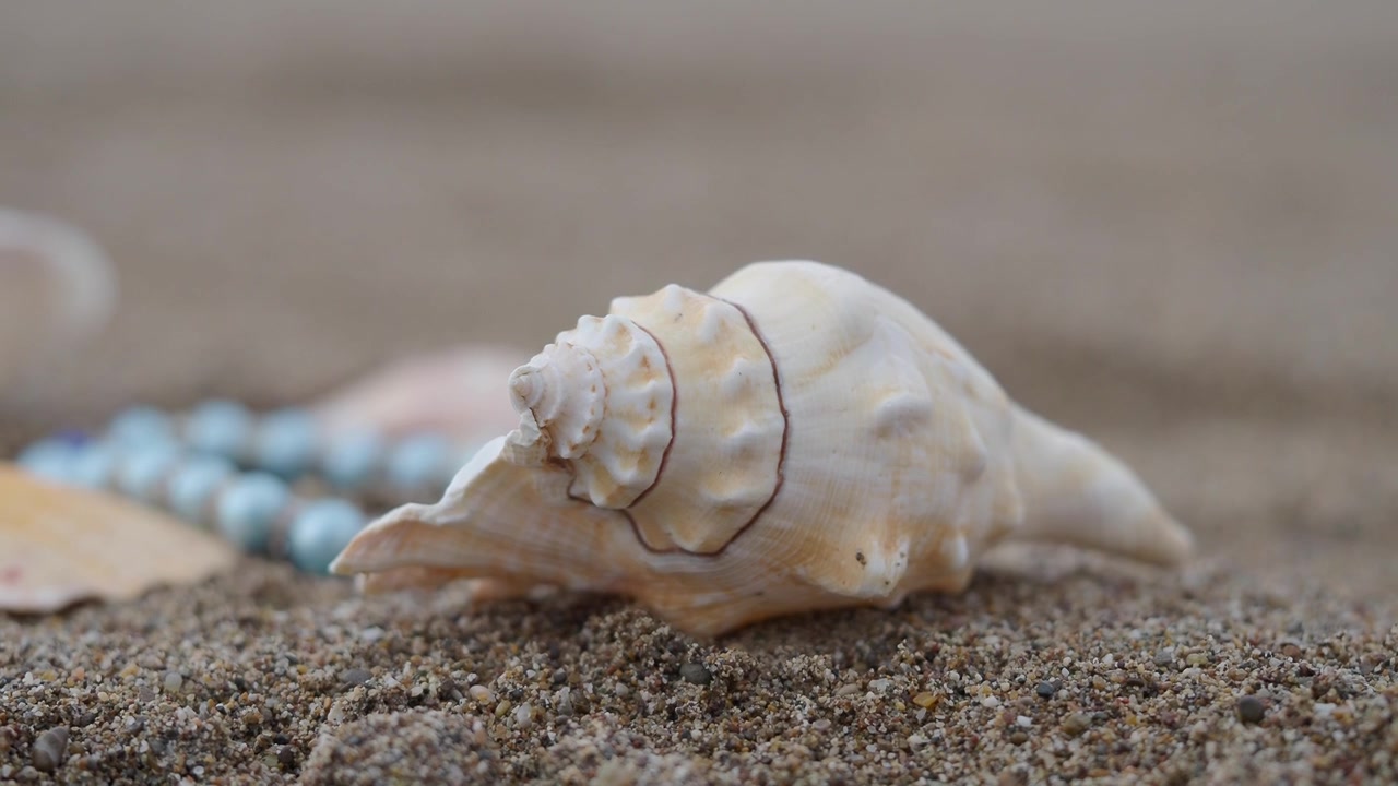 Conch Shell and Blue Beads on a Sandy Beach