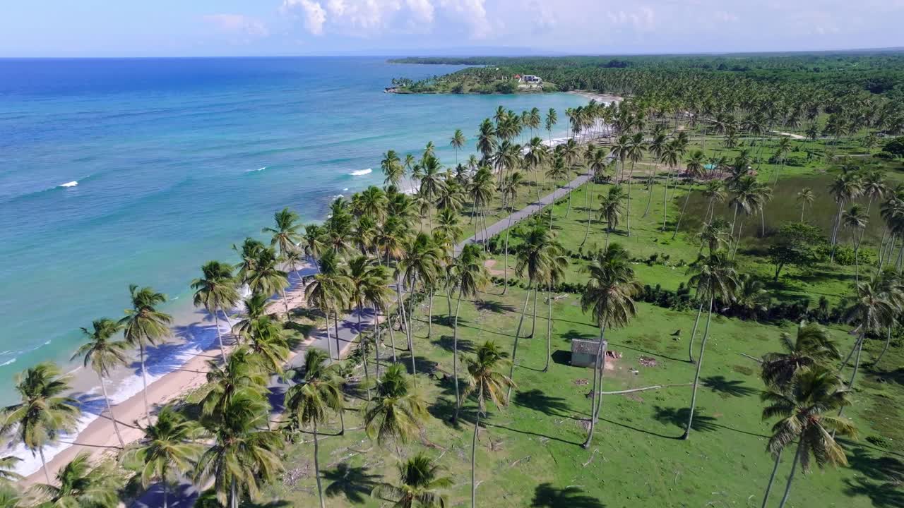 Aerial View of Tropical Beach with Palm Trees and Road