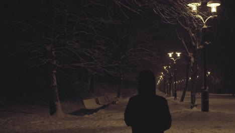 Person-Walking-Middle-Of-Trees-And-Street-Lanterns-At-Night-In-City-Park-In-Winter-Season