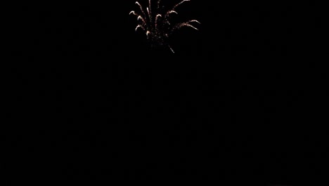 Single-Firework-Going-Off-In-The-Dark-Sky