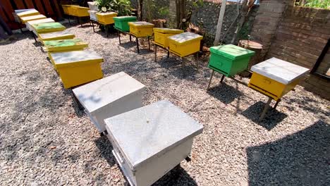 caja de colmena en el apiario