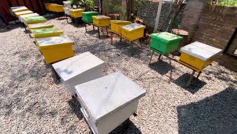 box of beehive on the apiary