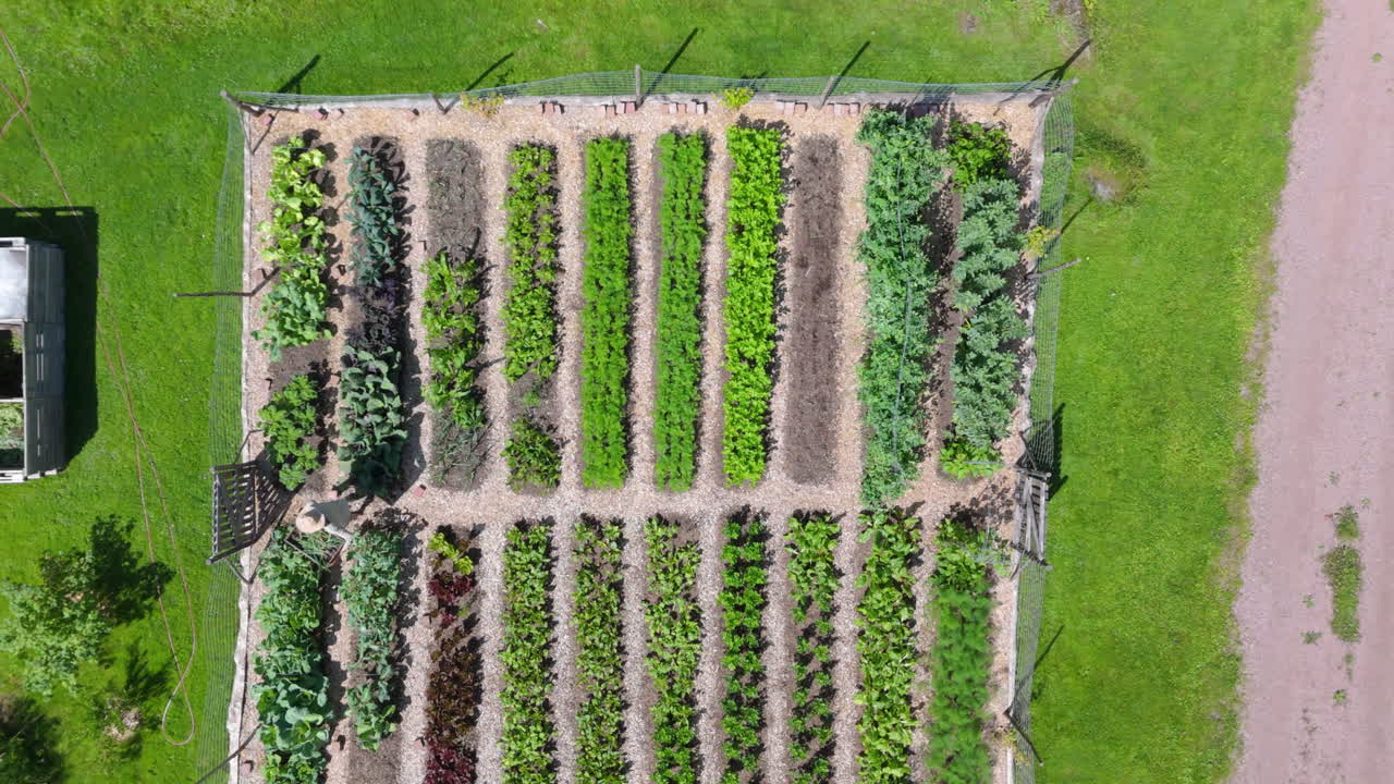 Aerial View of a Well-Organized Vegetable Garden