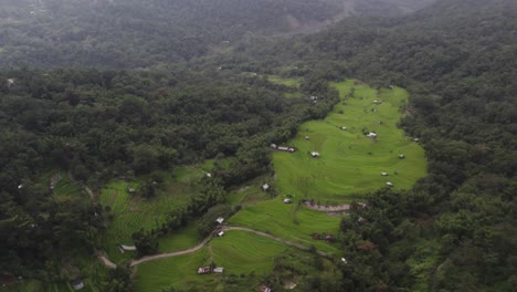 toma aérea de tierras agrícolas en el bosque del valle de la montaña en nagaland