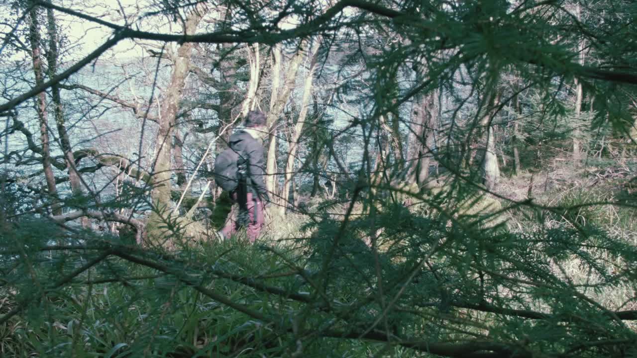 joven caminando en el bosque deteniéndose para admirar la vista panorámica