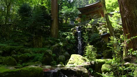 Hermoso-Paisaje-De-Trípode-Dentro-De-Un-Frondoso-Bosque-Con-Templo-Y-Cascada