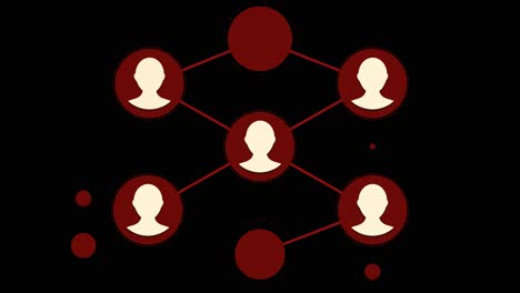 conexiones con las redes sociales