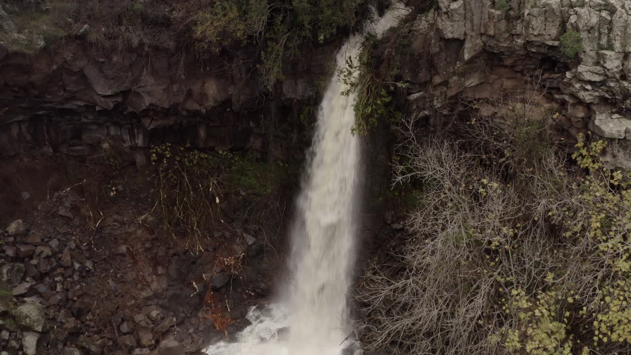 Fjellfoss i en skog