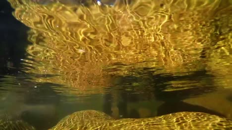 fisherman fly fishing in river