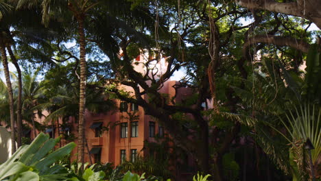 pink building in dense tropical forest with palm trees in sunny garden, hawaii