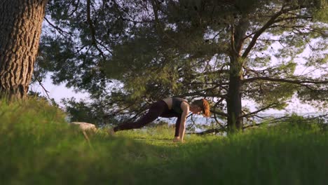 mujer joven haciendo asana de flujo de yoga al amanecer, bosque al aire libre mañana pacífica