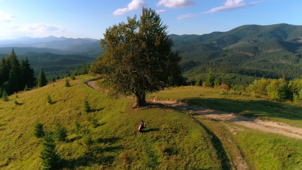 Woman with cello in the mountains. Musician playing the musical instrument near the tree on the hill among green nature. Aerial view.