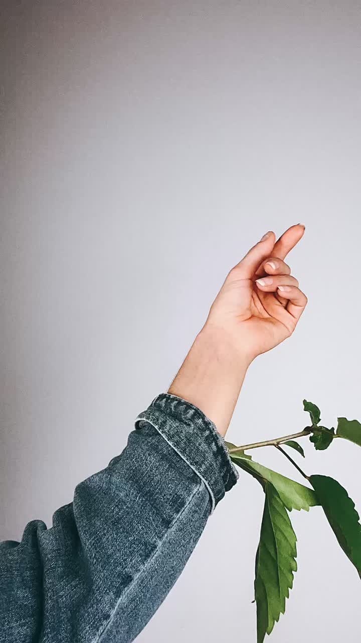 Mano con pianta che cresce da una manica di jeans