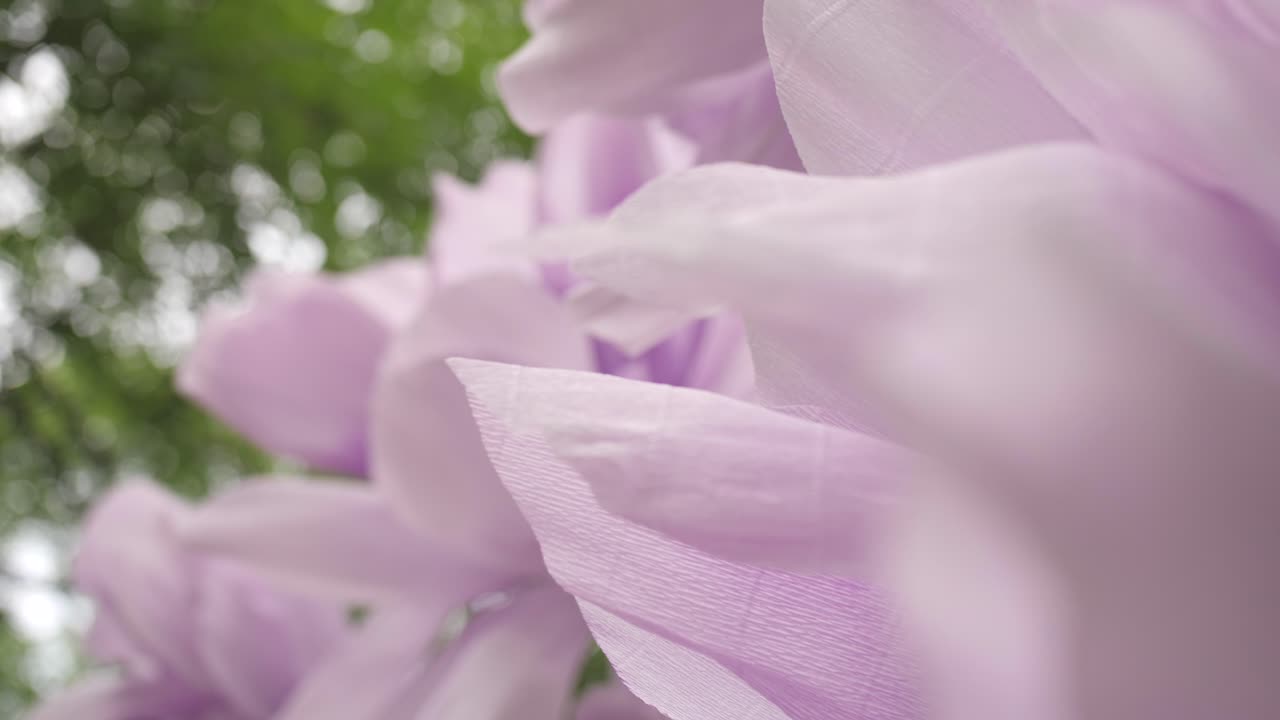 Giant lilac crepe flowers in a serene forest, elegant upward shot, shallow depth of field
