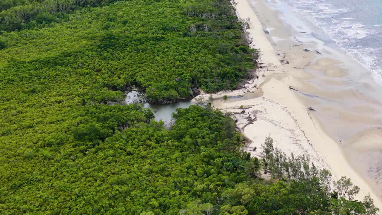 Drone glides above lush rainforest meeting sandy beach and ocean, revealing mangroves, tidal flats, and vibrant greenery under soft daylight in Port Douglas
