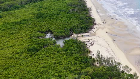 drone glides above lush rainforest meeting sandy beach and ocean, revealing mangroves, tidal flats, and vibrant greenery under soft daylight in port douglas