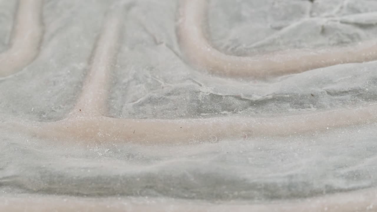 Make-up artist making fake scars and wounds close-up. Makeup equipment props for films and shooting. Bloody fake fingers for halloween and parties