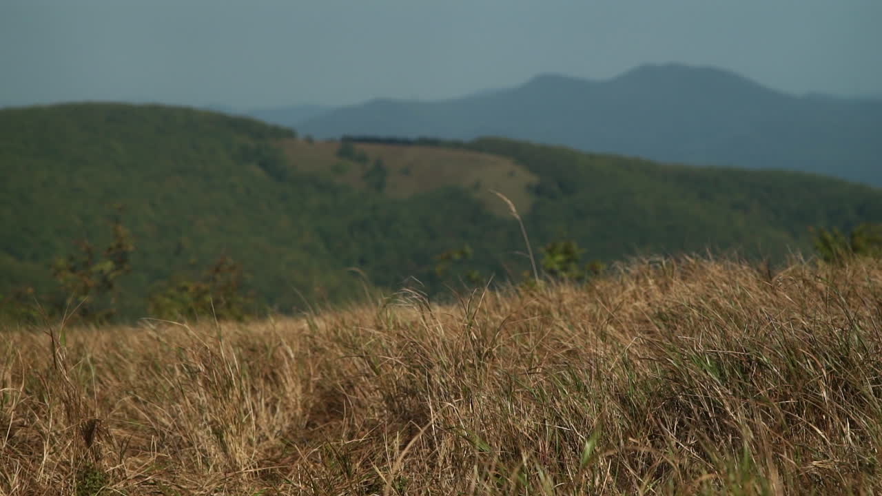 산악 초원 풍경