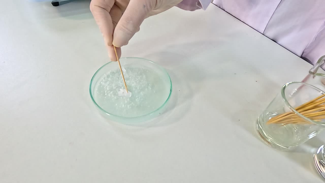 A gloved hand initiates sodium acetate crystallization in a petri dish using a stick, demonstrating rapid crystal formation