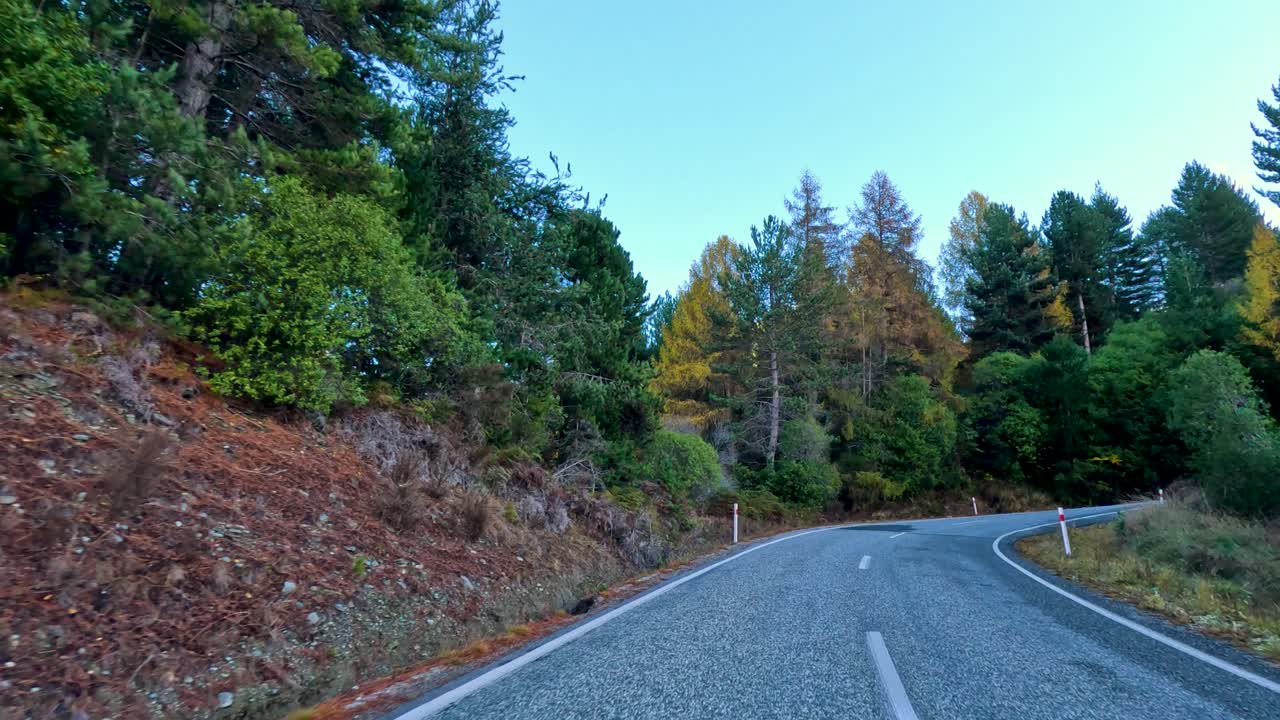 Vehicle moves along winding forest road, daylight, steady camera, lush trees, tranquil rural scenery